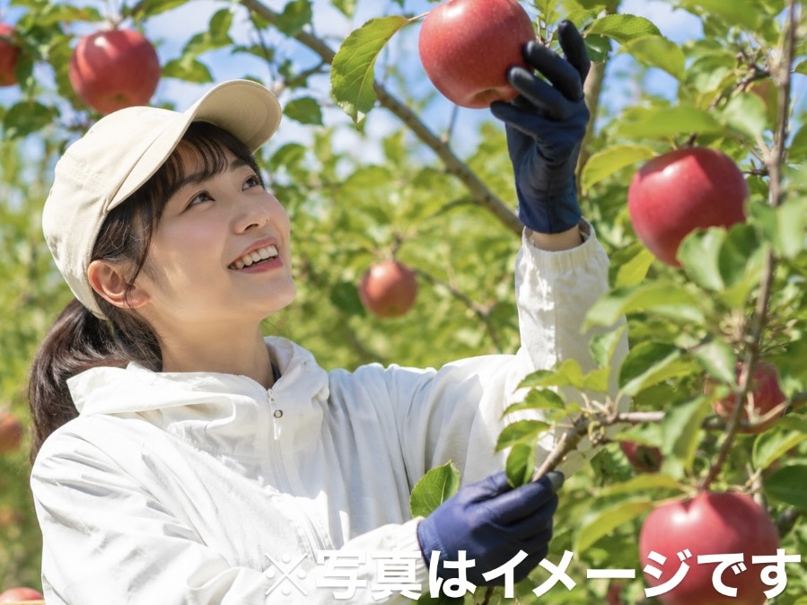 【農場長候補 / 正社員】（福島）次世代の持続可能な農業を牽引！果樹・野菜の栽培管理からマニュアル化まで担うファームリーダー募集（残業少なめ・1月に長期休暇あり）
