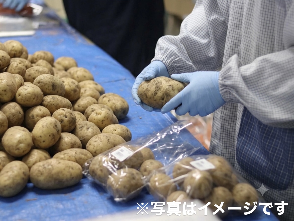 未経験歓迎◎/札幌/食を支える製造業務/年間休日120日/残業5時間程度♪