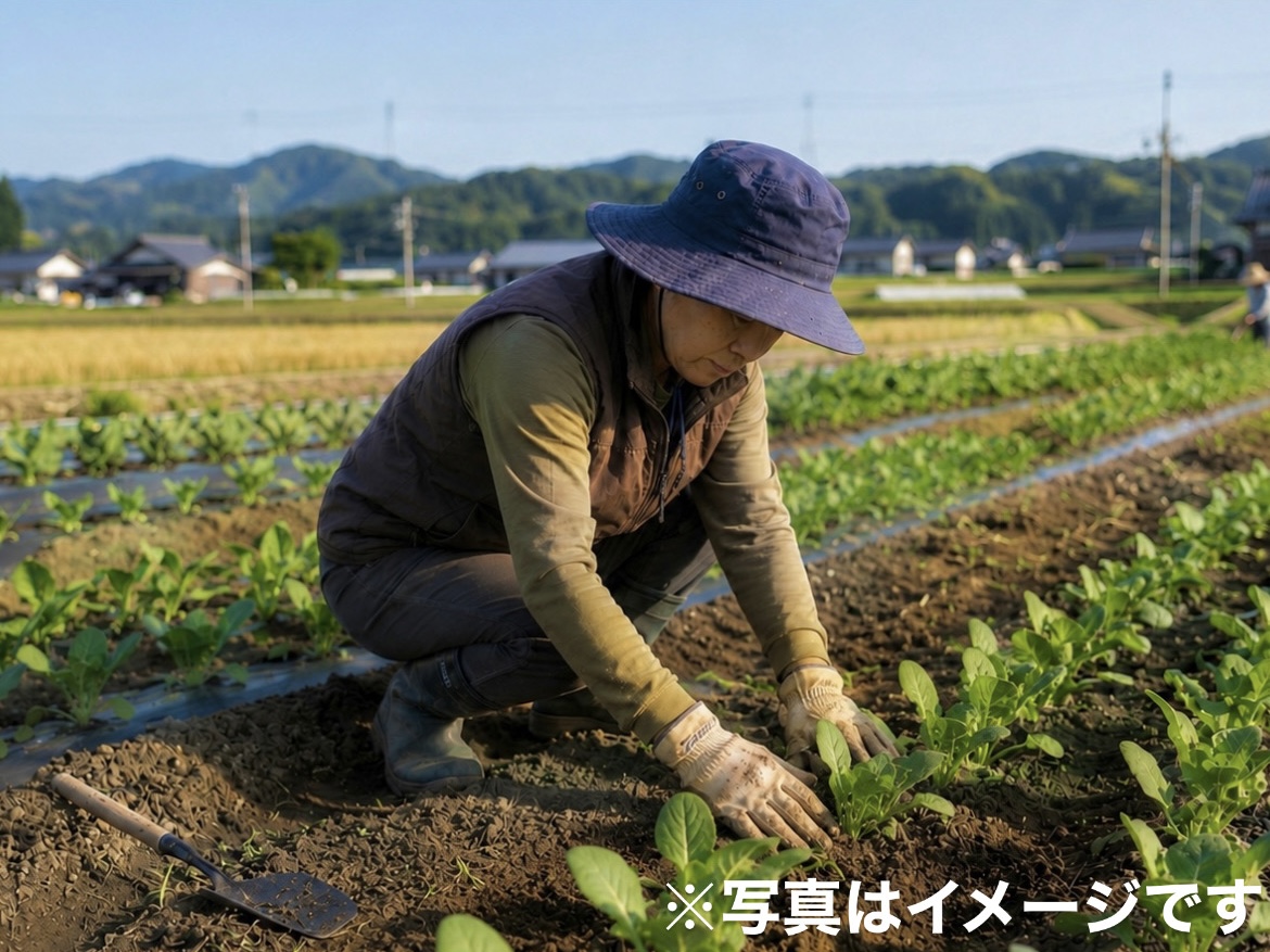 大手農業法人で農場経営管理、野菜の栽培管理スタッフを募集!(兵庫)【社宅あり】☆経験不問、20~30代のスタッフが活躍している職場です!【年間休日最大125日!】
