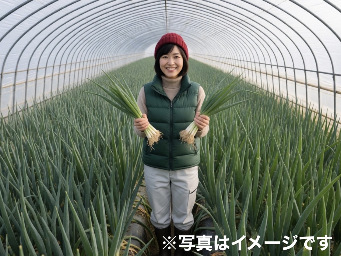 【徳島】未経験から国内トップクラスの青ネギプロへ！生産管理スタッフ◆月給23万〜28.6万円／原則週休2日・各種手当充実