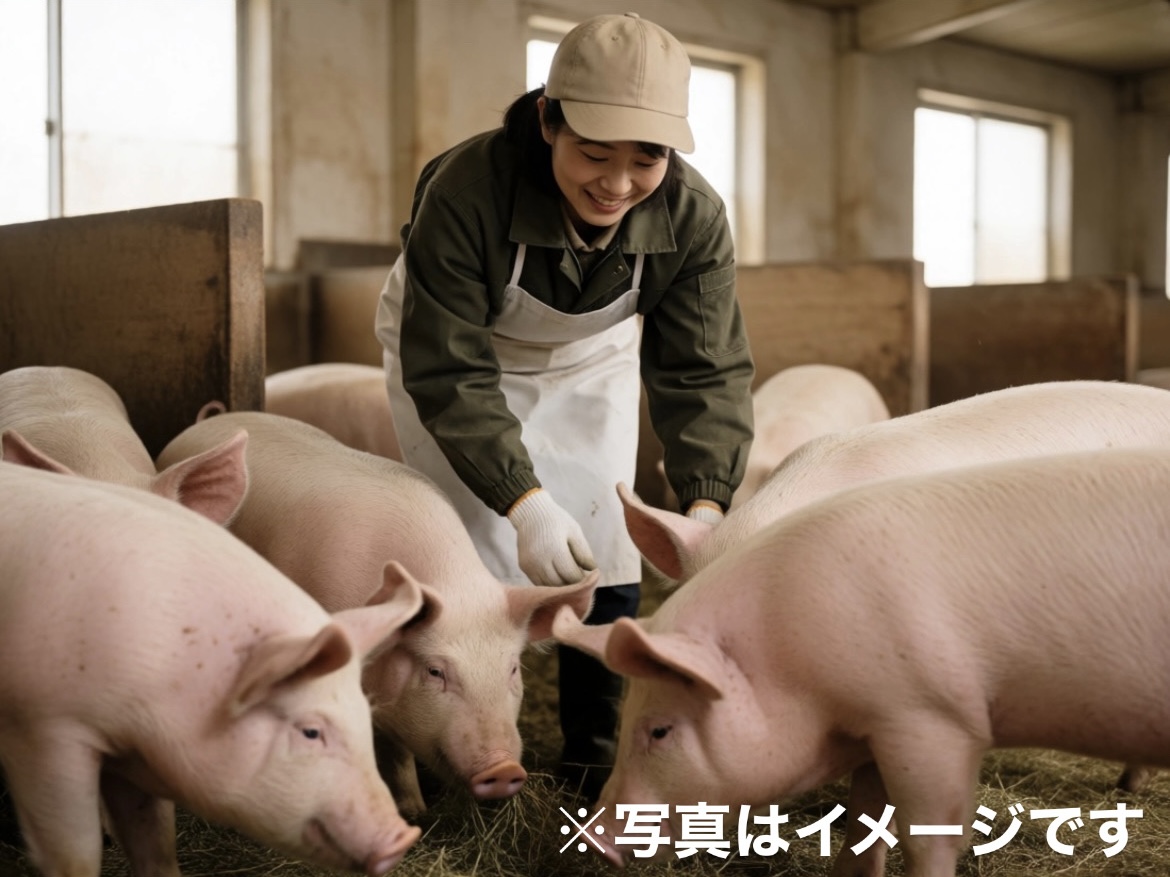 【養豚】「つくる・味わう・楽しむ」農業|農畜産物の6次産業化に取り組む当社で、多彩なキャリアを身につけませんか?循環型農業&無農薬栽培も実践!【年間休日105日以上・各種手当あり】