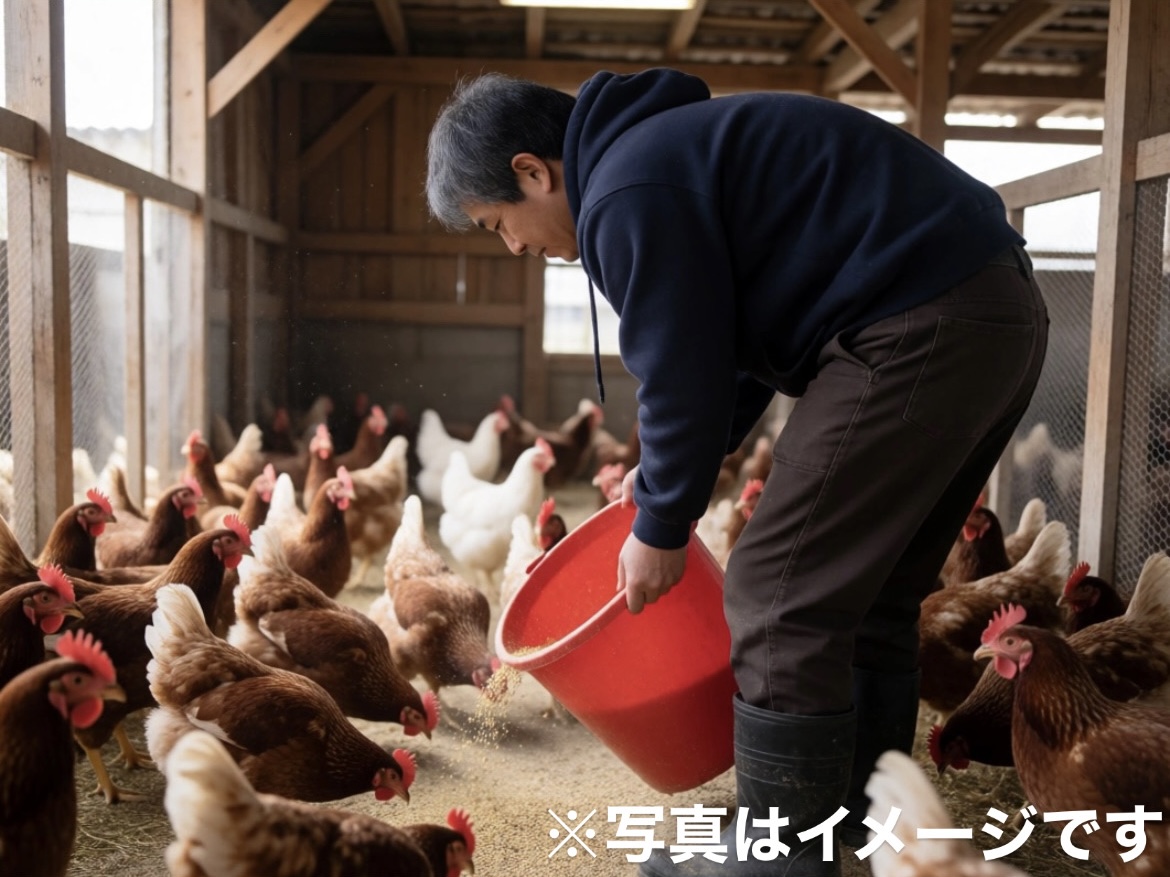 【養鶏】「つくる・味わう・楽しむ」農業|農畜産物の6次産業化に取り組む当社で、多彩なキャリアを身につけませんか?循環型農業&無農薬栽培も実践!【年間休日105日以上・各種手当あり】