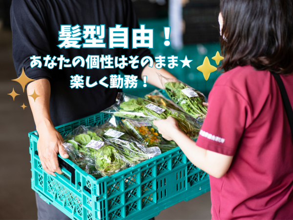 【和歌山/美浜】野菜の仕分け・バーコードシール貼り