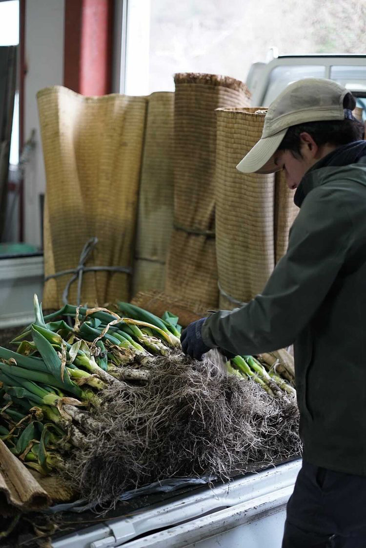 移住してゼロから始めた園主と挑む!歴史ある岩津ねぎの魅力を発信する【農園スタッフ】◆時給1116円〜/午前のみの短時間も相談OK