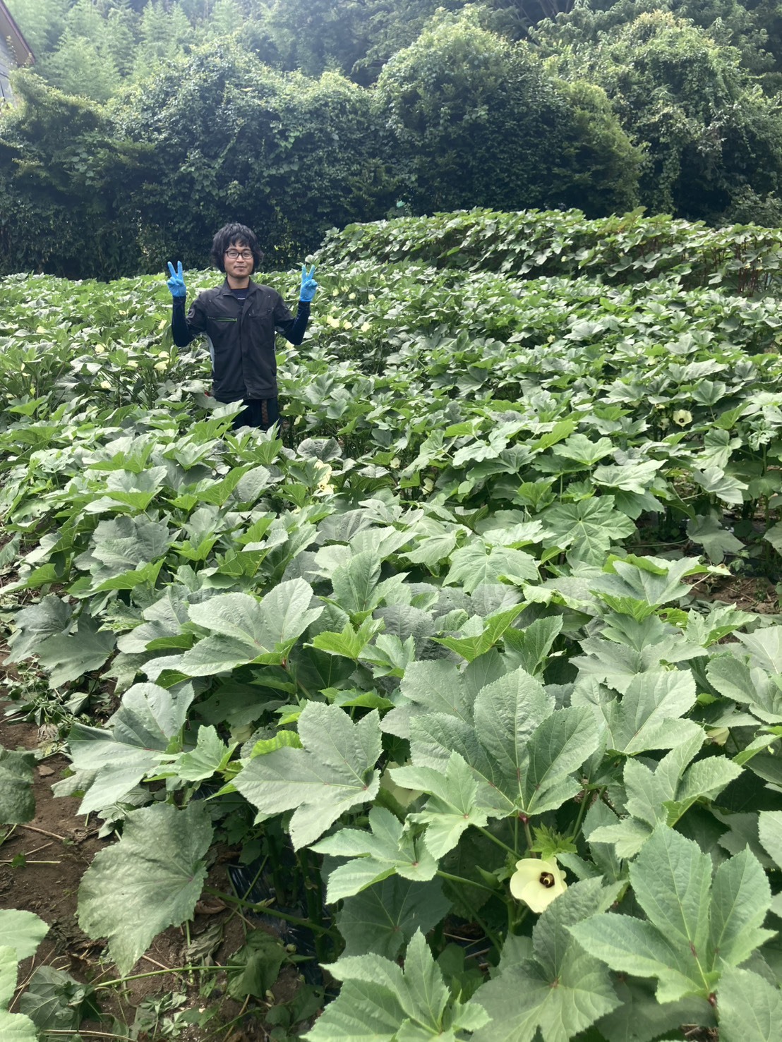 【時給1,225円〜】未経験から始める野菜の収穫&袋詰めサポート◆週3日・1日3h〜OK/30代代表の優しくアットホームな農園◎